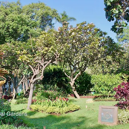 Ourmadeira - Heart Of Old Town I 아파트 *