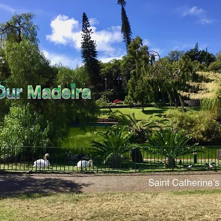 Ourmadeira - Heart Of Old Town I 아파트