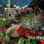Appartamento Ourmadeira - Heart Of Old Town *
