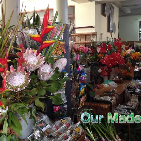 Ourmadeira - Heart Of Old Town I