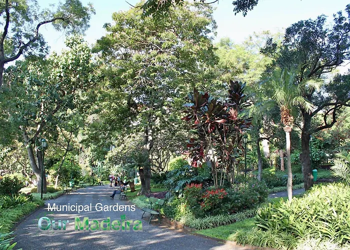Ourmadeira - Heart Of Old Town I