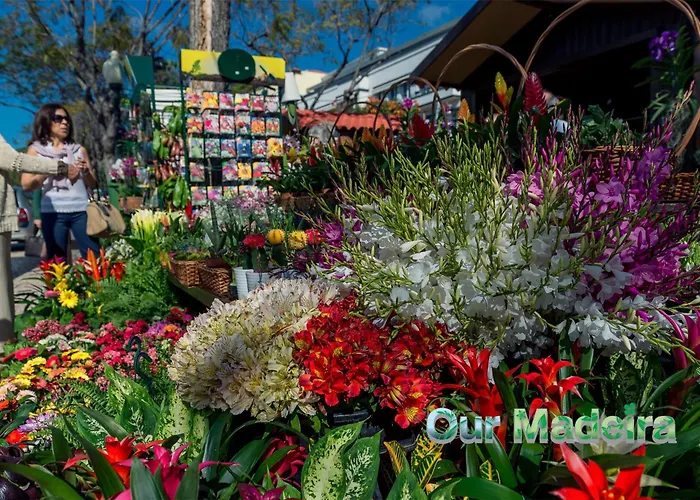 Apartmán Ourmadeira - Heart Of Old Town I *