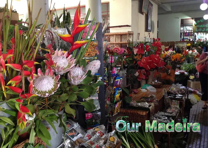Ourmadeira - Heart Of Old Town I