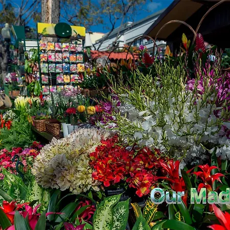 Lägenhet Ourmadeira - Heart Of Old Town I *